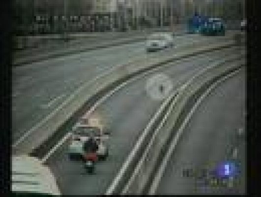  - Dos jabalíes en la autopista