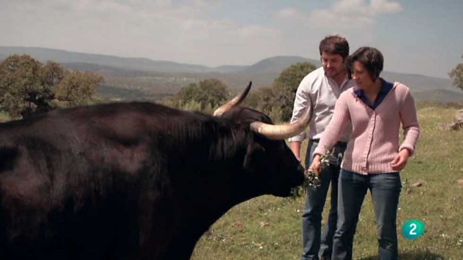 Con mis ojos - Extremadura - Ver ahora