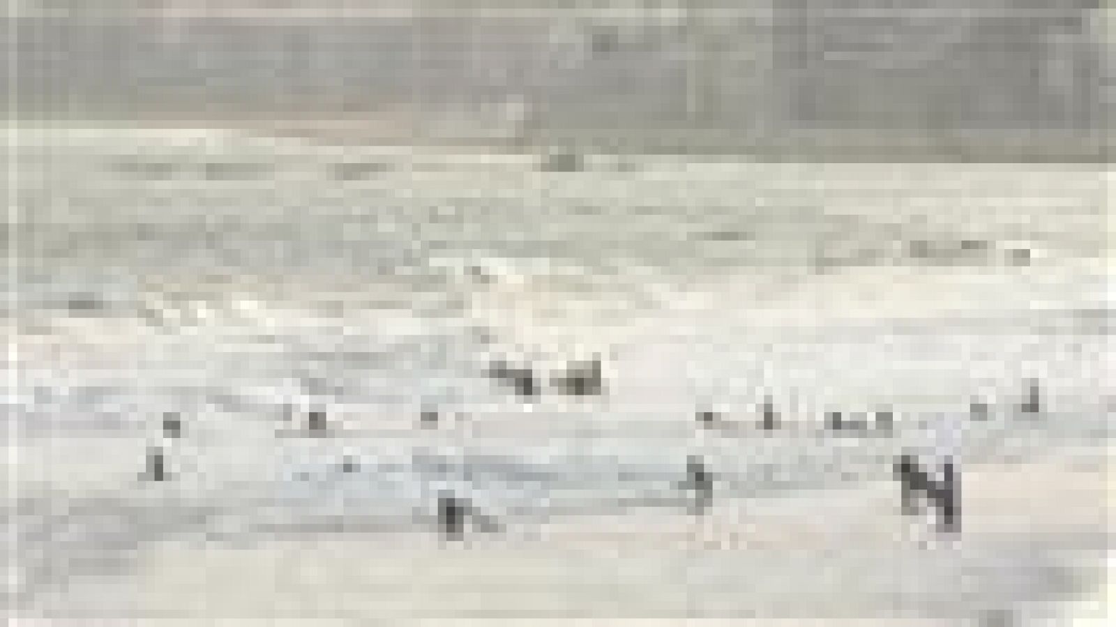 El tiempo en Canarias - 13/07/15 | Ver