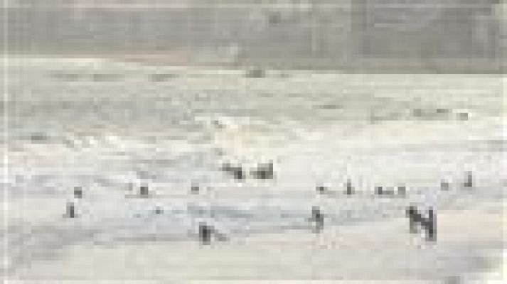 Telecanarias - El tiempo en Canarias - 13/07/15