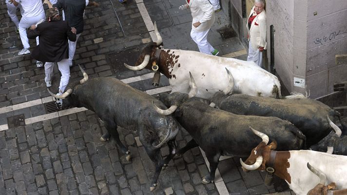San Fermín - Último encierro con la ganadería de Miura