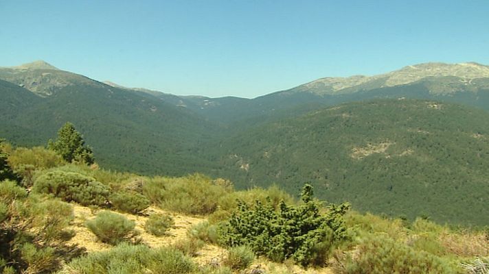 Informativo de Madrid - El Tiempo en la Comunidad de Madrid - 14/07/15