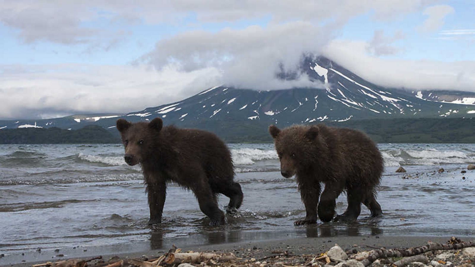 Grandes documentales - Rusia salvaje: Kamchatka