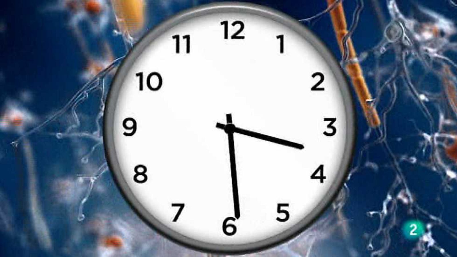 Brain Games - Hablemos del tiempo - ver ahora