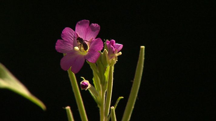 Informativo de Madrid - El Tiempo en la Comunidad de Madrid - 15/07/15