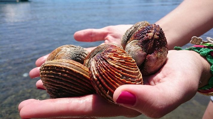 Aquí la Tierra - Escupiñas, un manjar muy menorquín