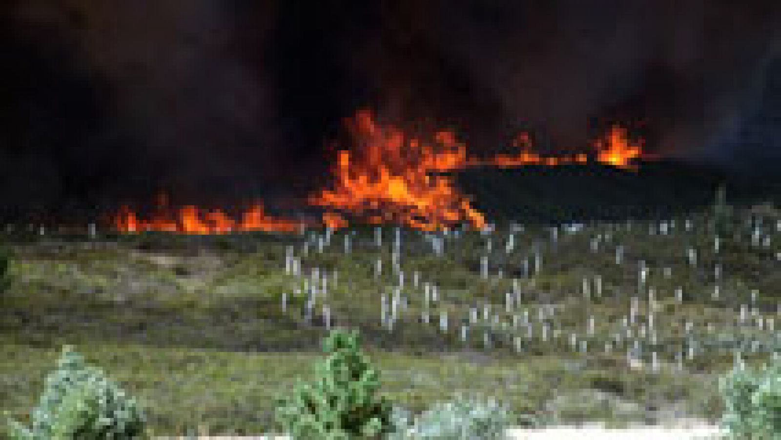 Telediario 1: Estabilizado el fuego en Quintana del Castillo (León), que ha quemado más de 2.000 hectáreas  | RTVE Play