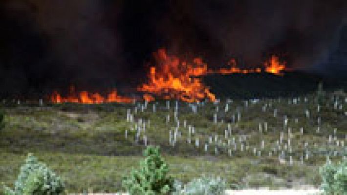 Telediario 1 - Estabilizado el fuego en Quintana del Castillo (León), que ha quemado más de 2.000 hectáreas