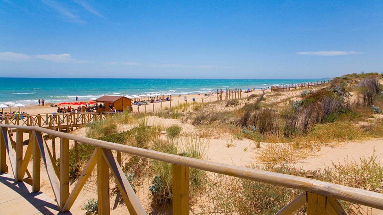 Guardamar, una playa casi virgen en la desembocadura del Segura