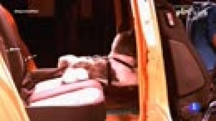 Seguridad vital 5.0 - Aprendemos a llevar a nuestros animales en el coche