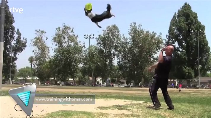 Tvemos - Jumpee, un perro récords Guinness