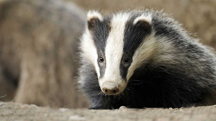 Grandes documentales - Los excavadores (1)