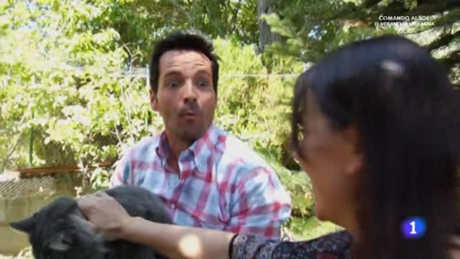 Bonfi, un gato gigante que puede llegar a pesar 12 kilos