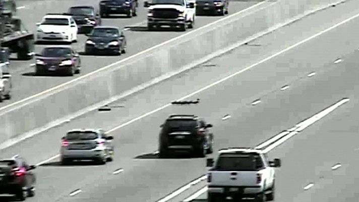 Telediario 1 - Una familia de patos logra cruzar sin daño una autopista