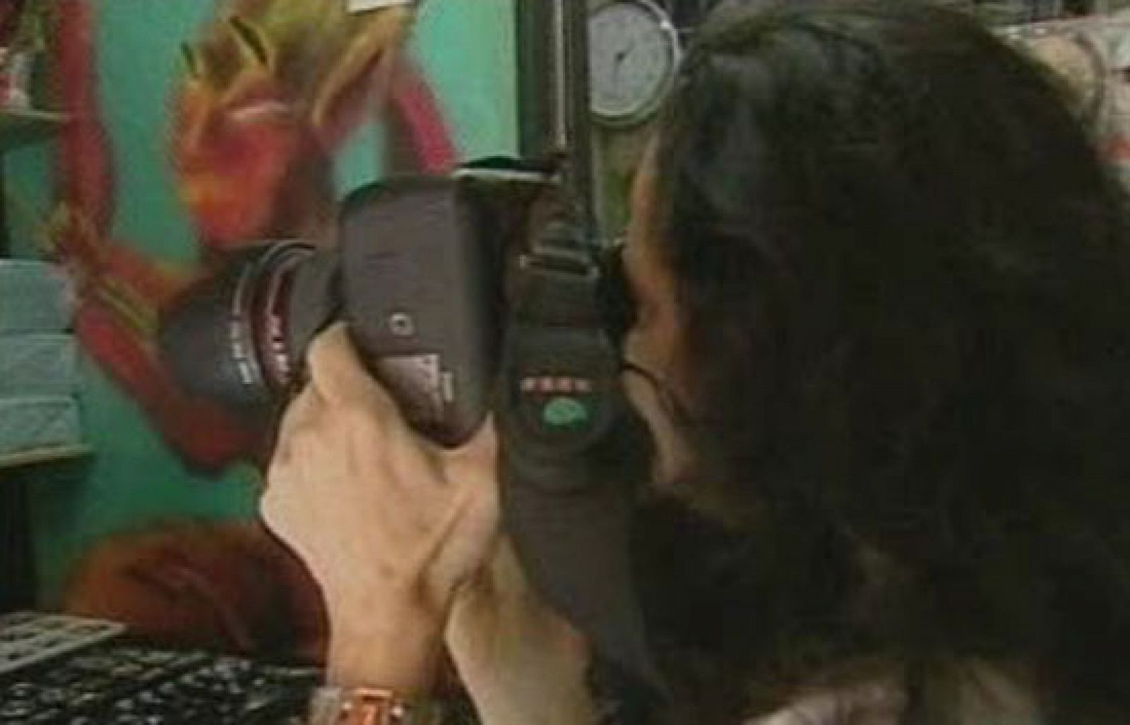 De Sur a Norte - Las maras - De sur a norte | Ver