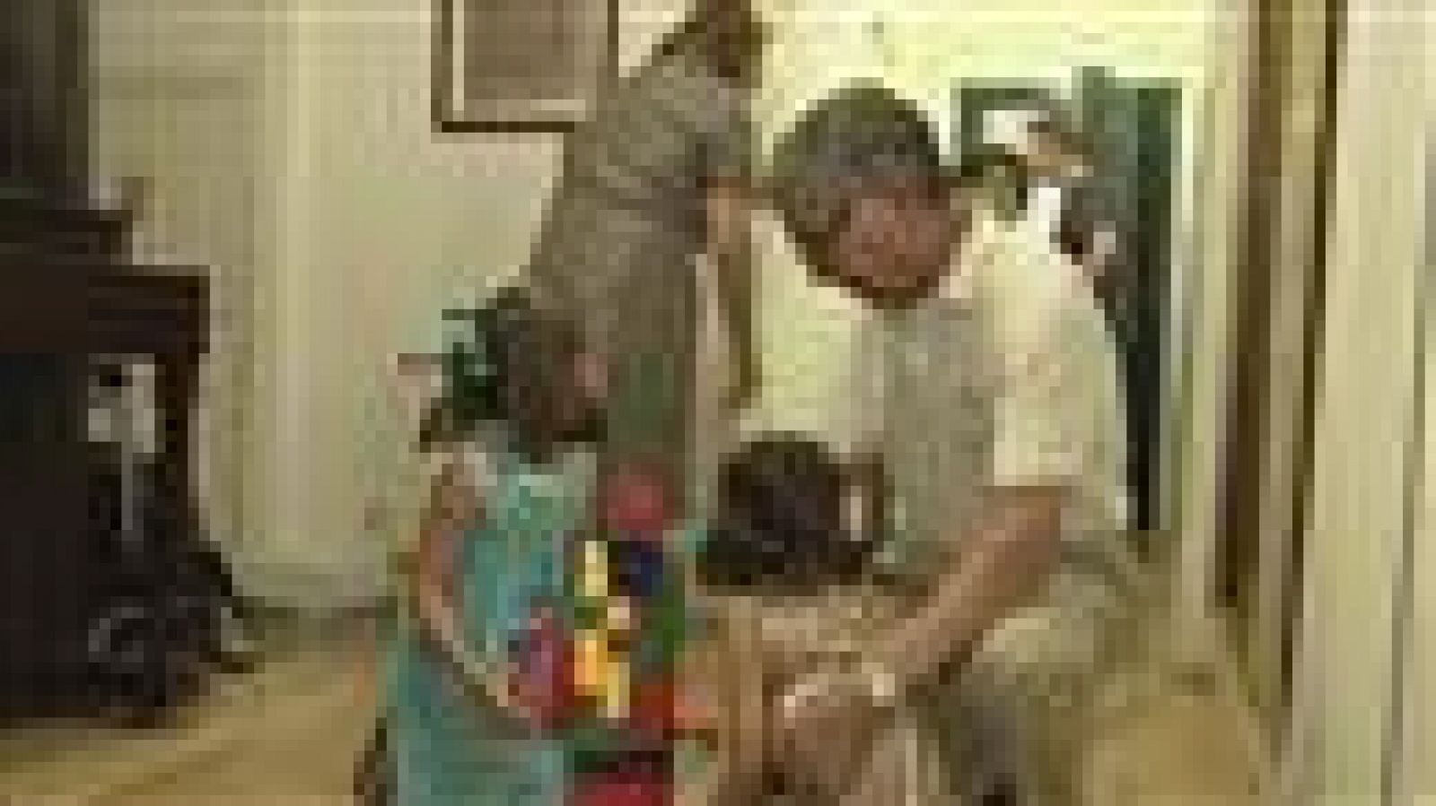 Telecanarias - 26/07/15 | Ver