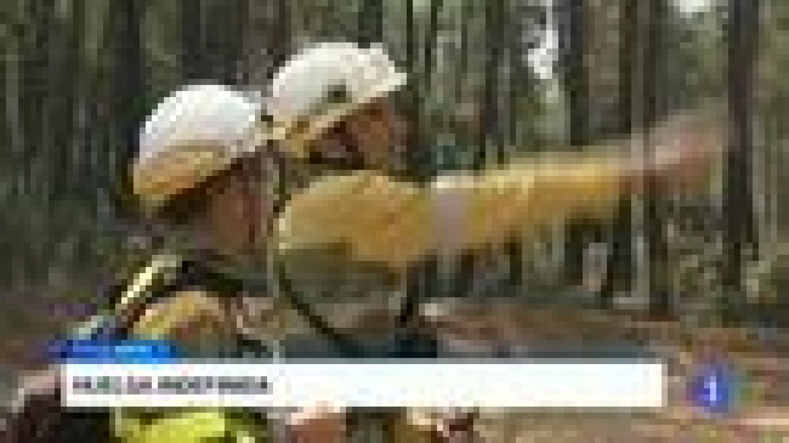 Castilla y León en 2' - 27/07/15