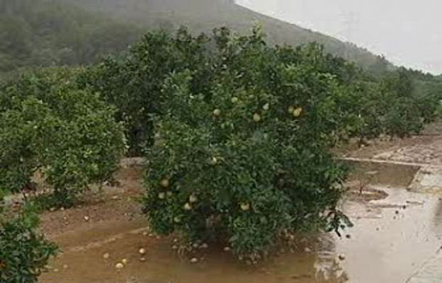 Fuertes lluvias en Levante