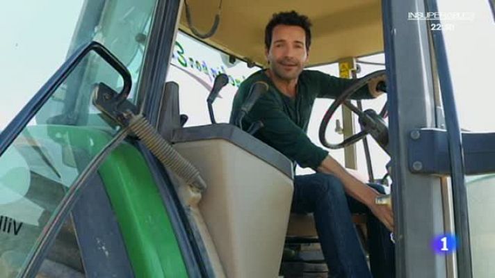 Aquí la Tierra - ¡Apuntad ricas recetas veraniegas con melón!