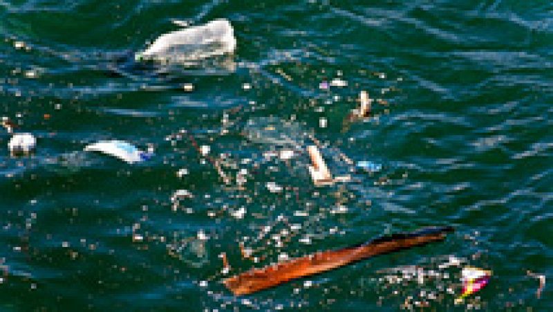 Algunas playas de Baleares presentan una cantidad inusual de plásticos y residuos procedentes del norte de África
