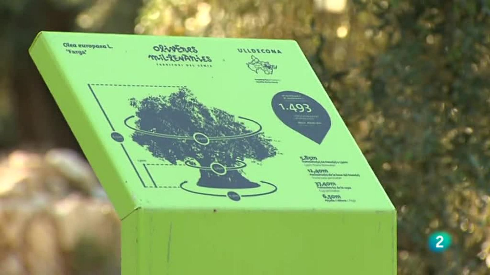 Agrosfera - En clave rural - Ulldecona