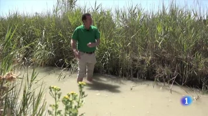 Seguridad vital 5.0 - Aprendemos a conducir en todoterreno