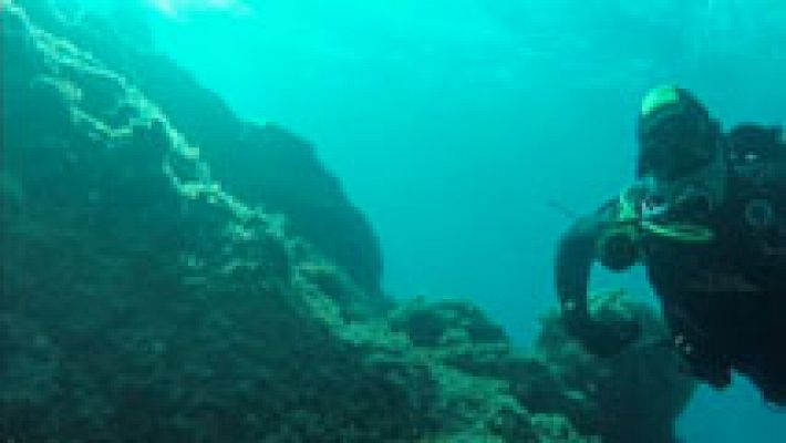 Bajo el mar, tampoco hay barreras 