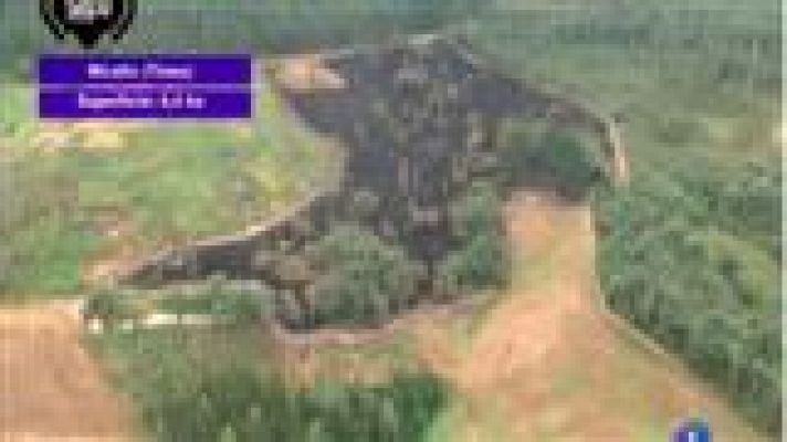 Panorama Regional - Panorama Regional - 31/07/15