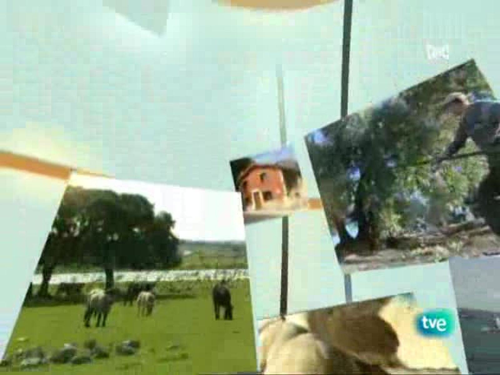 Agrosfera - 25/10/08 - Agrosfera | Ver