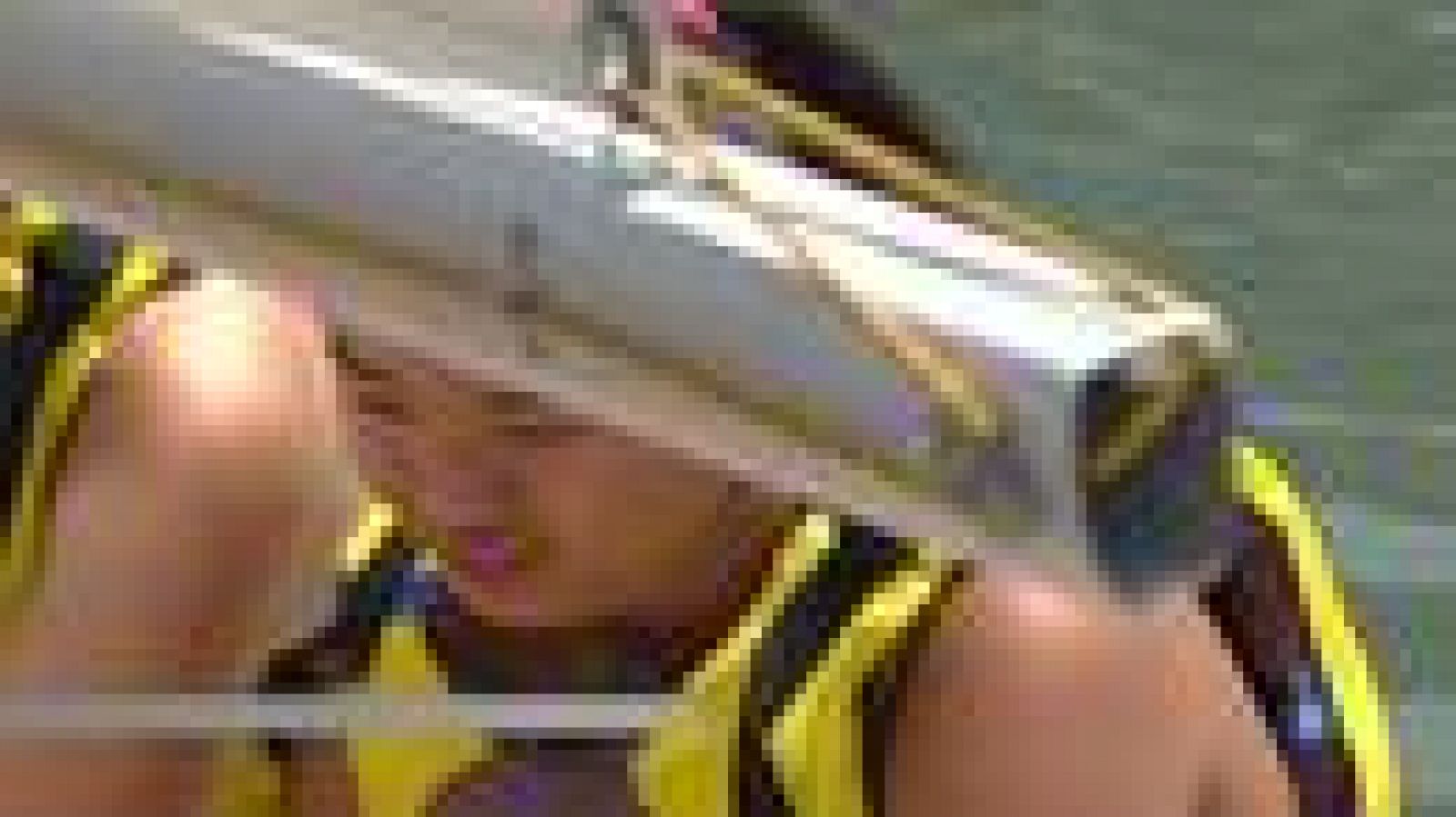 L'Informatiu: Els cursets de vela adaptada de l'estiu a l'Escala | RTVE Play