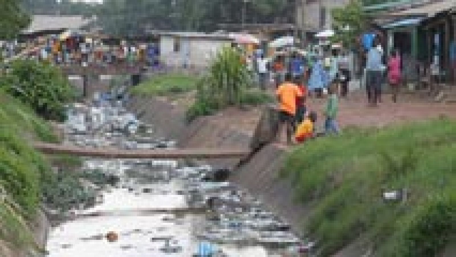 Investigadores han desarrollado un dispositivo que permite detectar la malaria