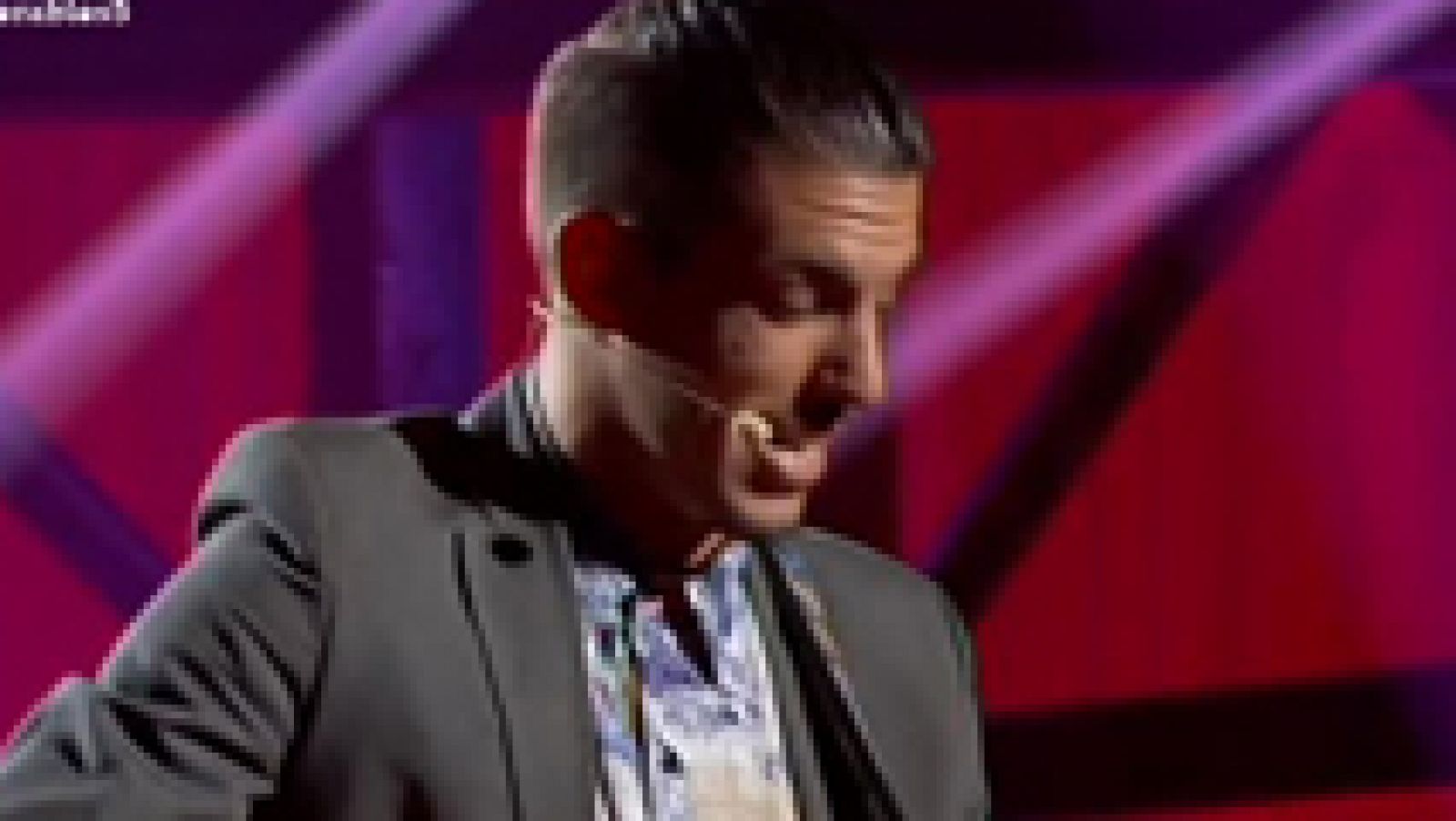 Insuperables - El flamenco de Luitingo