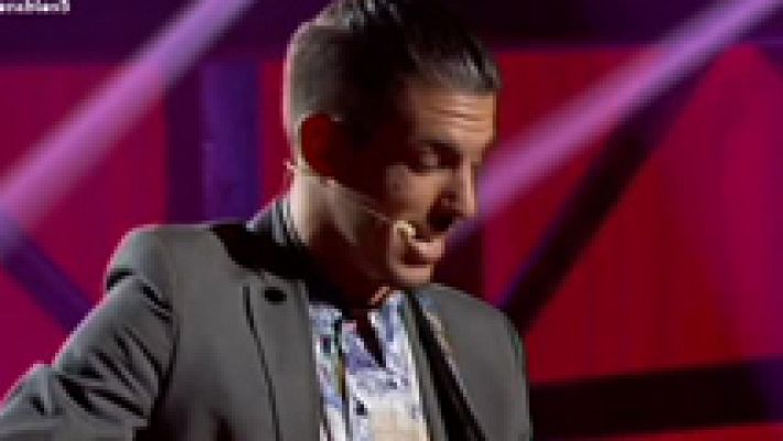 El flamenco de Luitingo