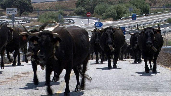 Comando Actualidad - Cáceres