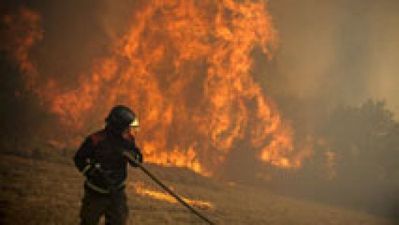 50.000 hectáreas han sido consumidas por las llamas este año, un 40% más que en 2014 
