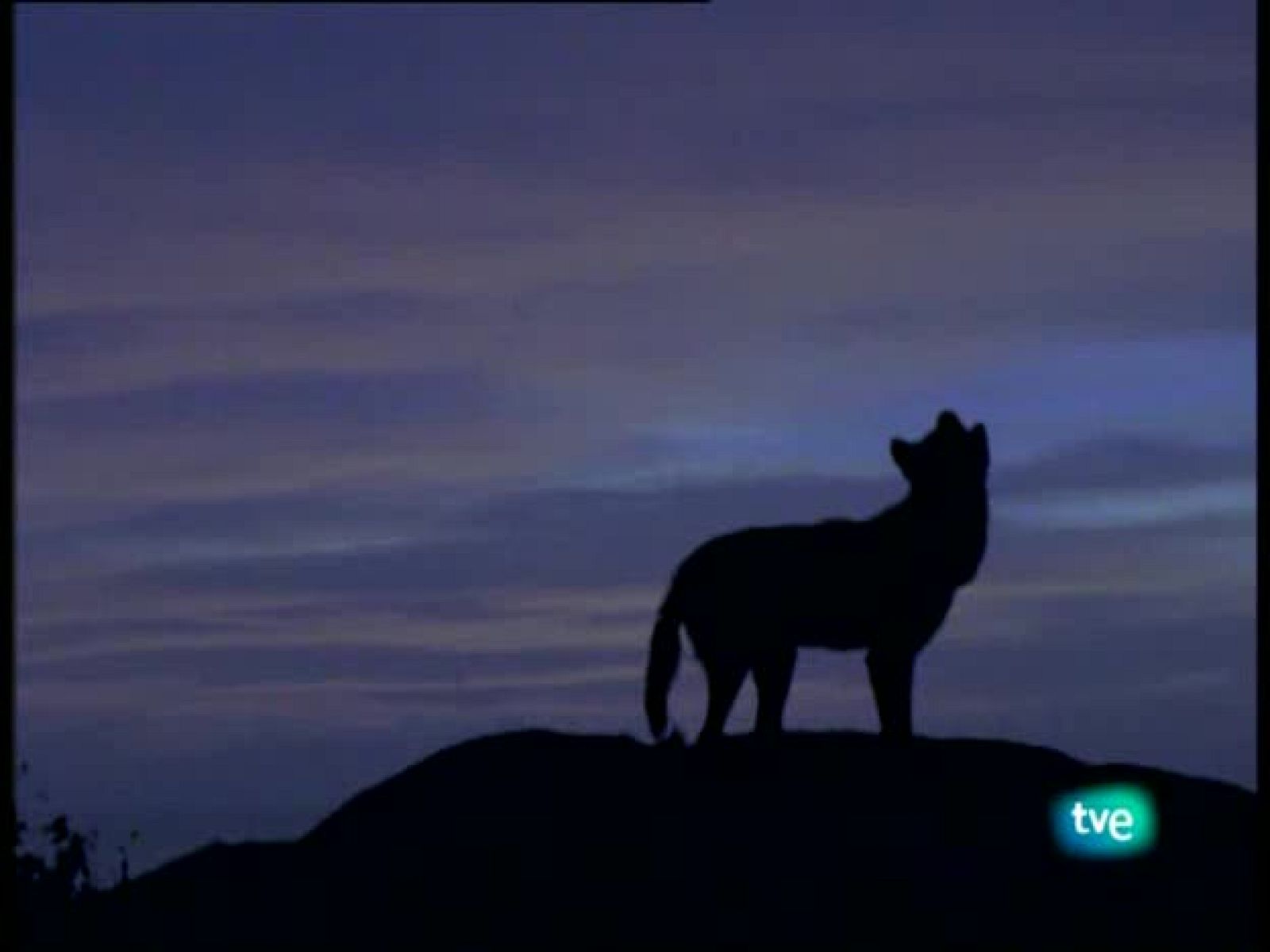 La España salvaje - Un años en los parques nacionales españoles - Otros documentales | Ver