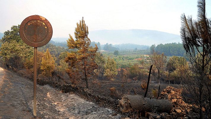 Telediario 1 - Los vecinos de Perales del Puerto y Acebo regresan a sus casas tras el incendio en Sierra de Gata