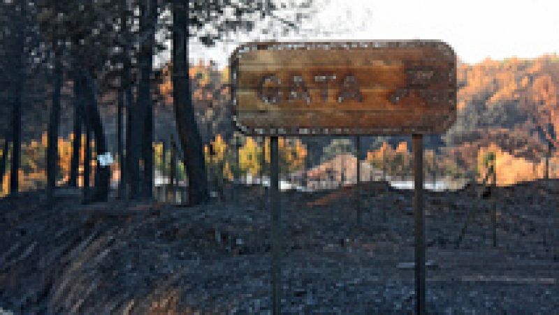 Controlado el incendio de la Sierra de Gata tras haber quemado cerca de 7.000 hectáreas
