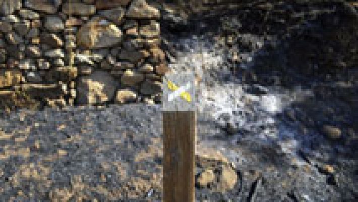 Telediario 1 - Incendio controlado en Sierra de Gata, PP y ciudadanos piden la declaración de zona catastrófica