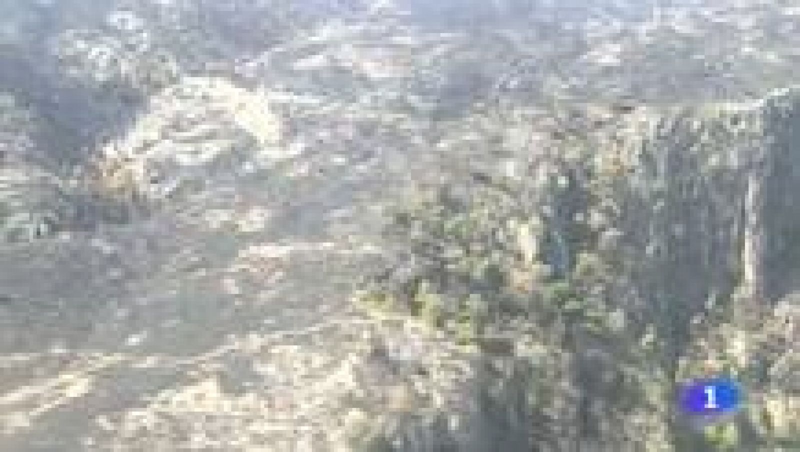 Noticias Murcia - 10/07/08/2015