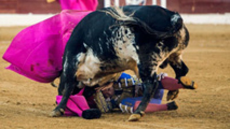 El torero Francisco Rivera Ordóñez sufre una cogida en Huesca