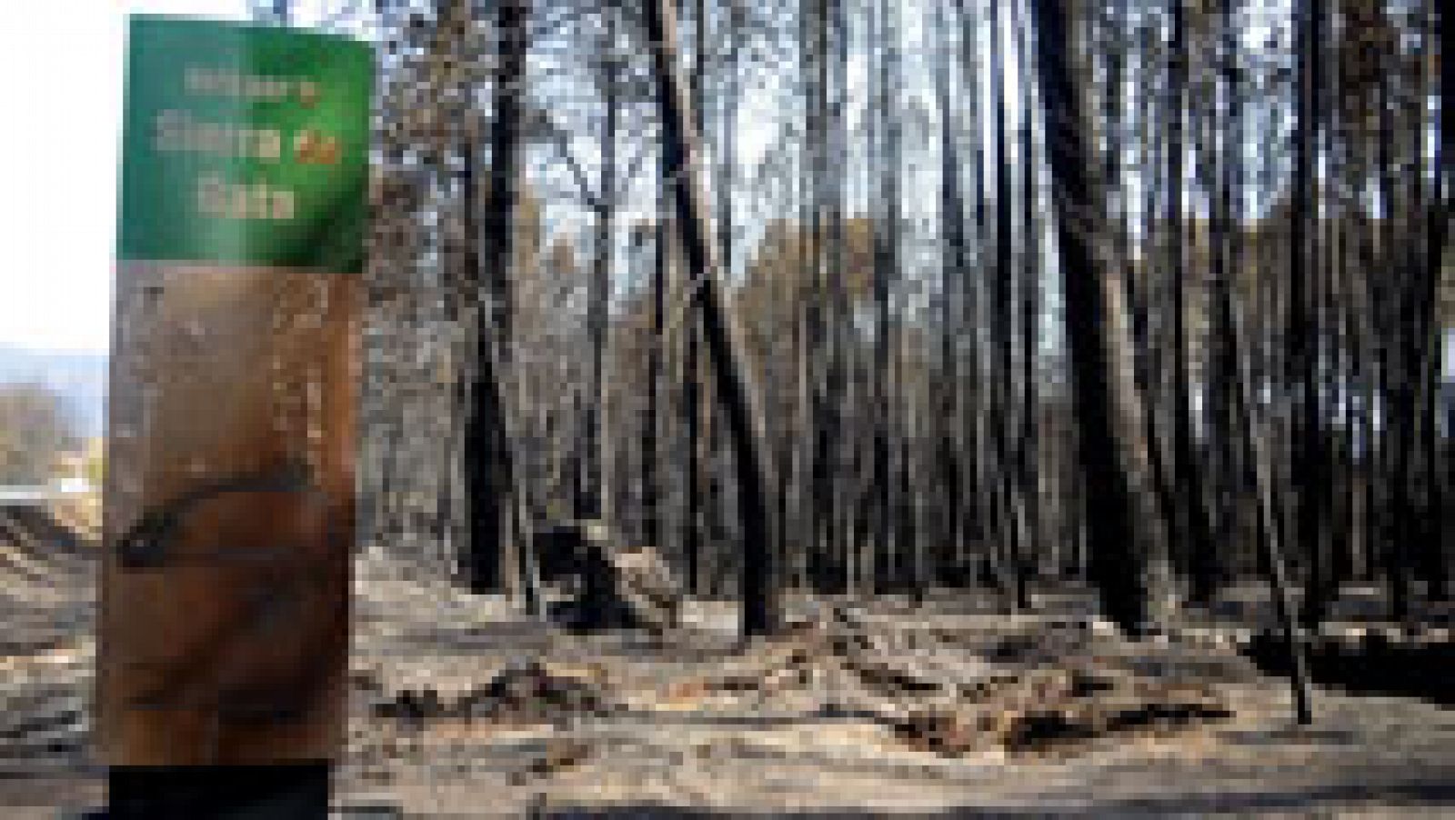 Los vecinos de la Sierra de Gata afectados por el incendio recuperan poco a poco la normalidad 