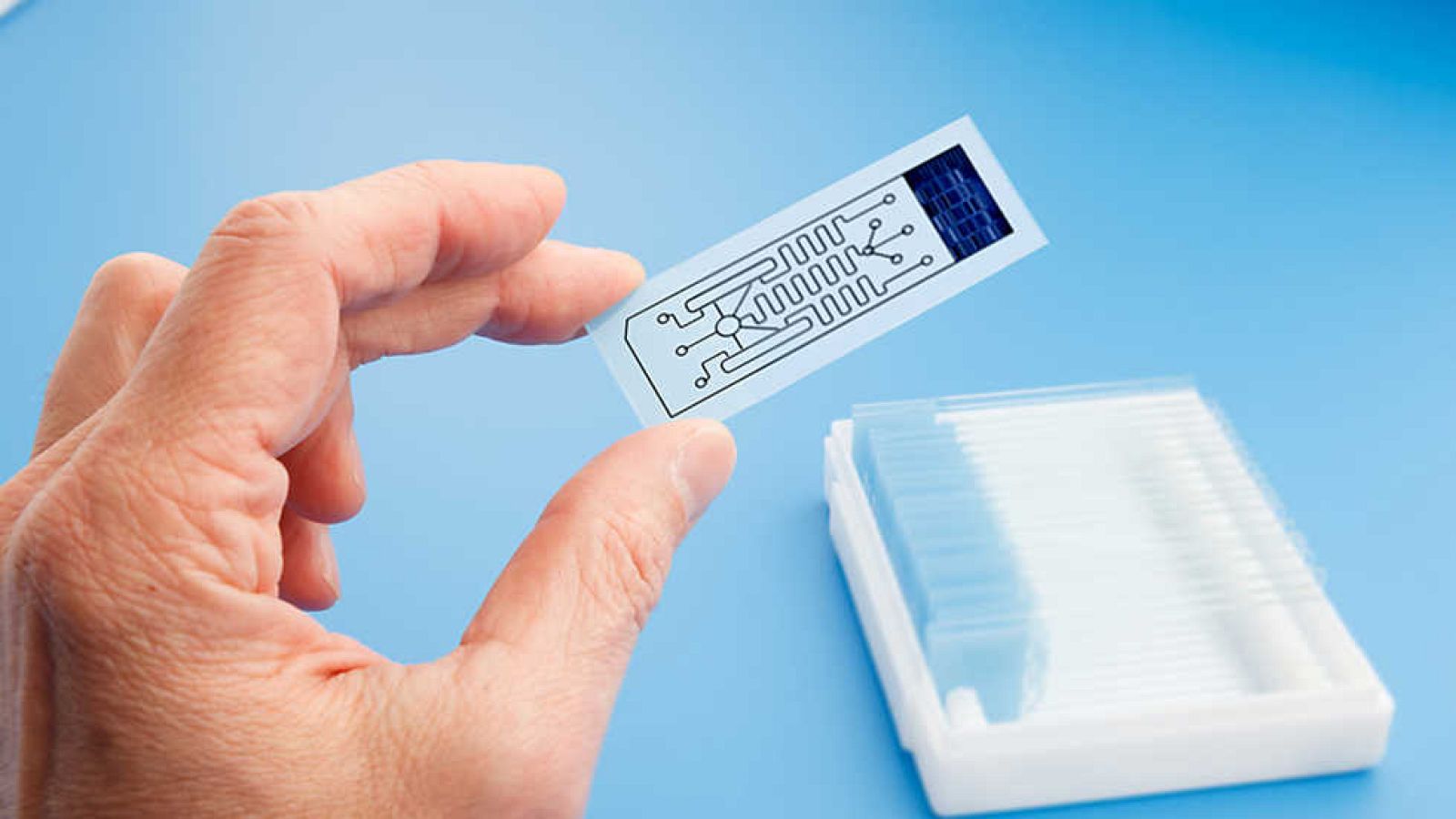 Documenta2 - Las cinco claves 2ª parte: Nuevos materiales - ver ahora