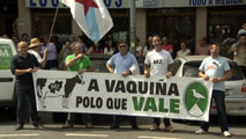 Protesta de los ganaderos en Pontevedra por la caída de los precios de la leche en origen