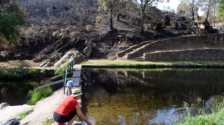 Telediario 1 - Un 7% de la Sierra de Gata, afectada por el fuego