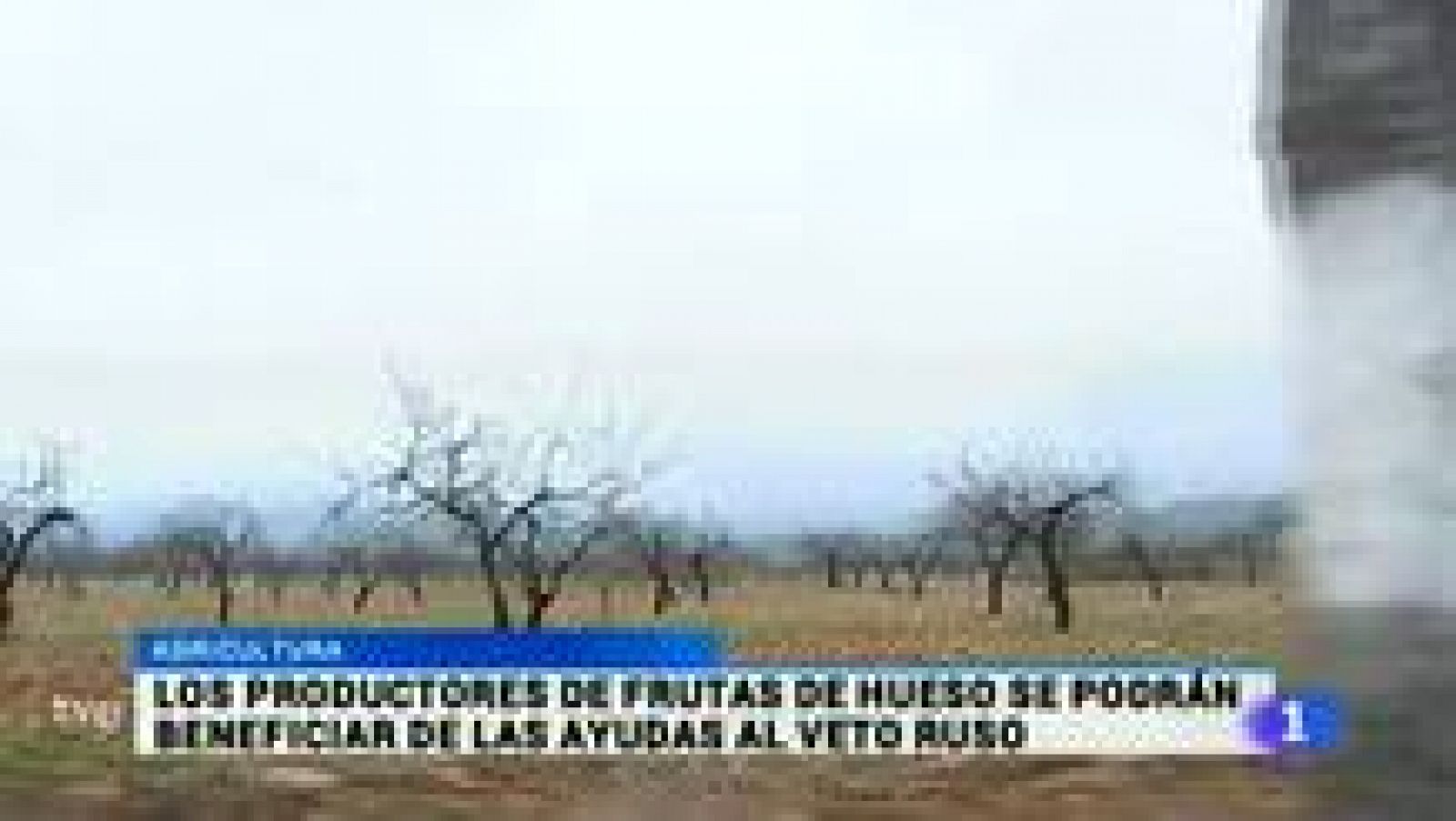 Noticias Murcia: La Región de Murcia en 2'- 12/08/2015 | RTVE Play