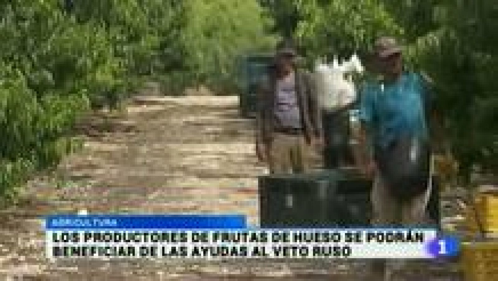 Noticias Murcia: Noticias Murcia - 12/07/08/2015 | RTVE Play