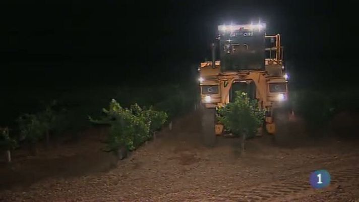 Noticias de Castilla-La Mancha - Castilla-La Mancha en 2' - 12/08/15