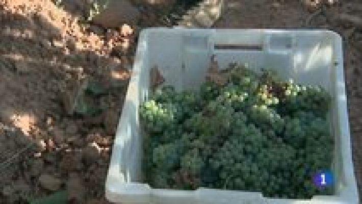 L'informatiu - Comunitat Valenciana - La Comunidad Valenciana en 2' - 13/08/15