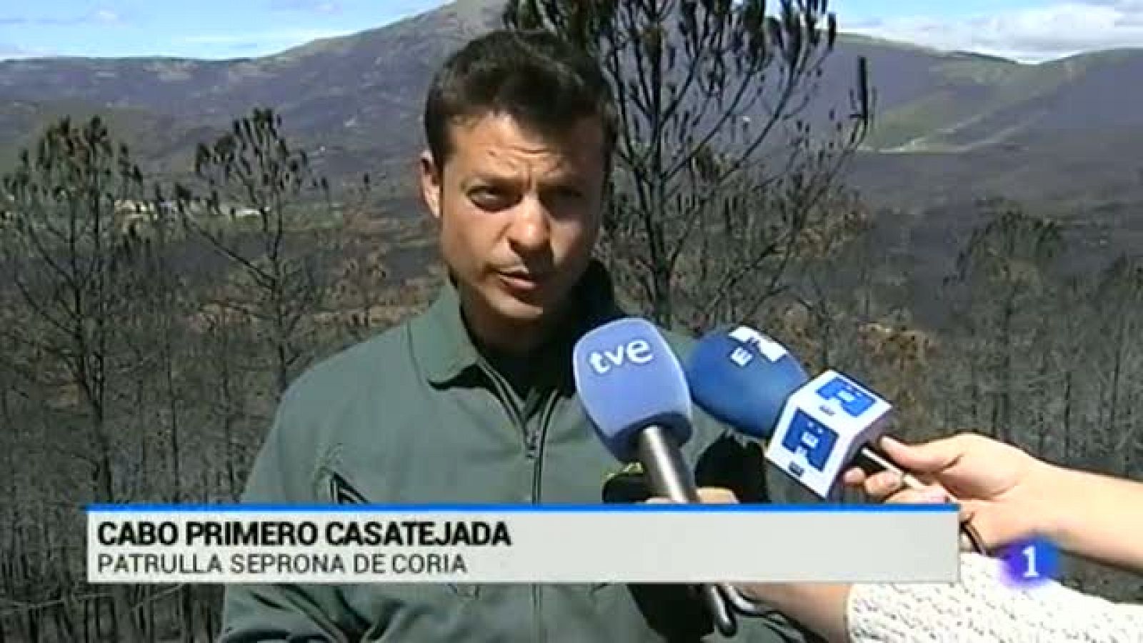 Noticias de Extremadura: Noticias de Extremadura 2 - 13/08/15 | RTVE Play